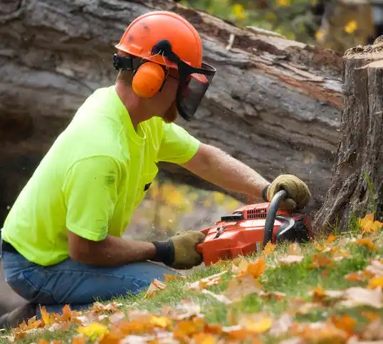 tree services Garretts Mill